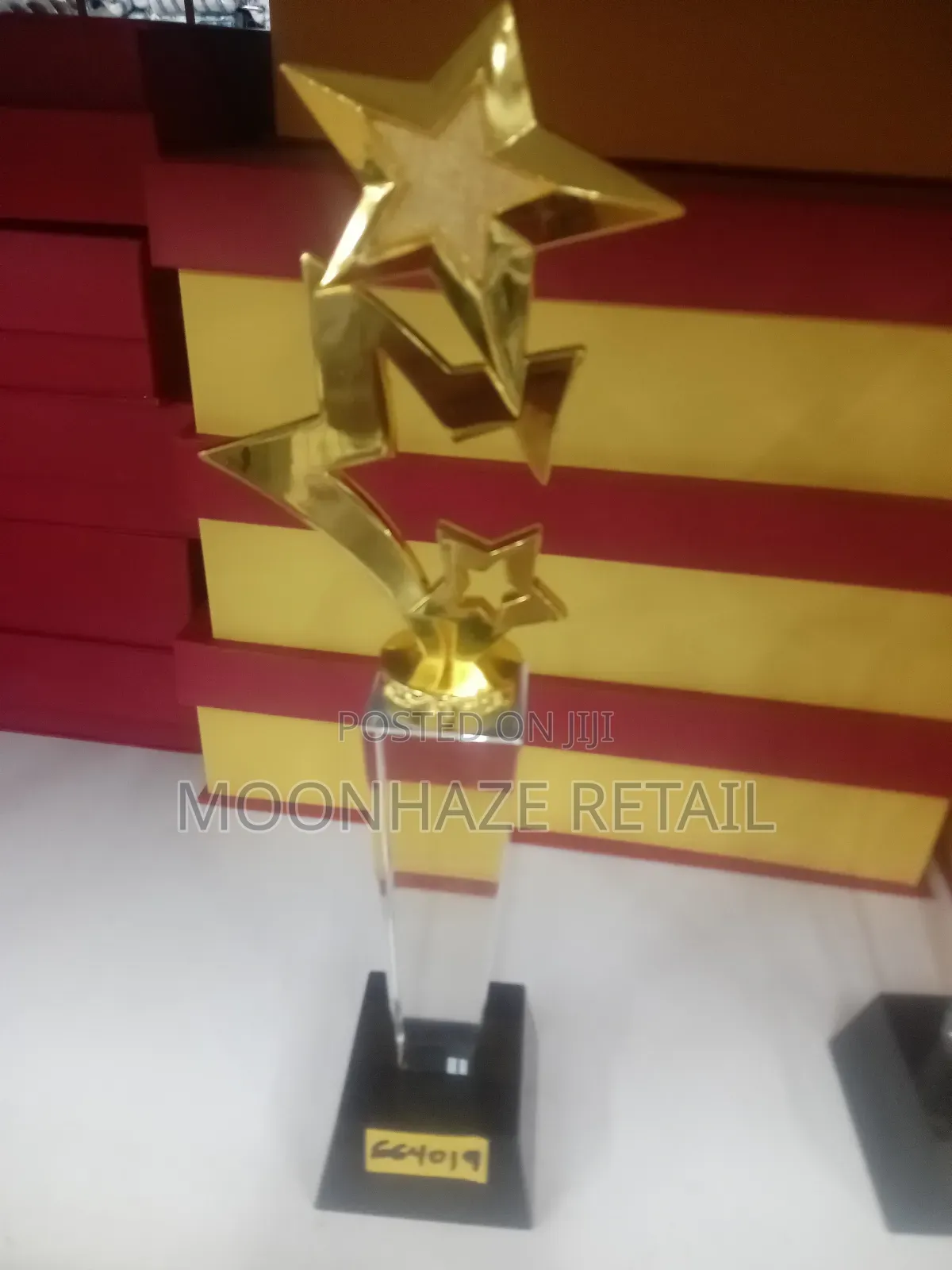 Golden Star Crystal Trophy – Rising Star Awards!