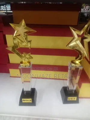 Golden Star Crystal Trophy – Rising Star Awards!