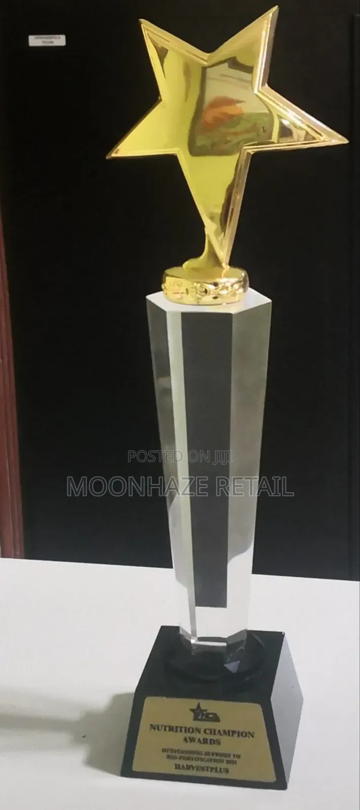 Golden Star Crystal Trophy – Rising Star Awards!
