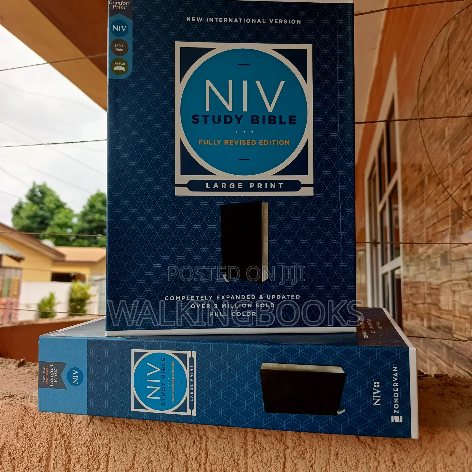 Niv Study Bible