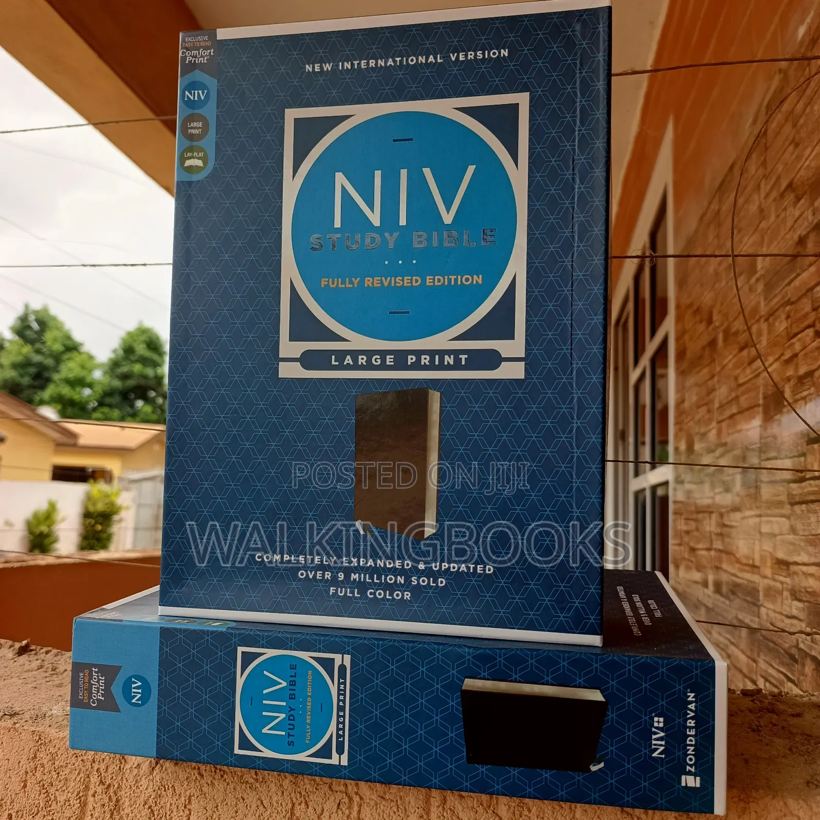 Niv Study Bible