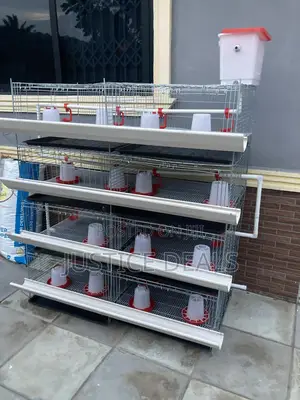 Day Old Cage