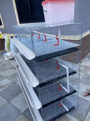 Day Old Cage