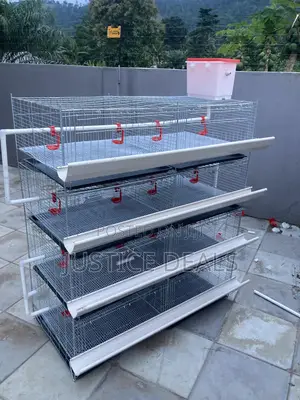 Day Old Cage