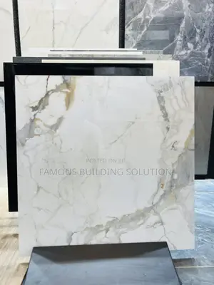 High Quality Floor Tiles (60/60)