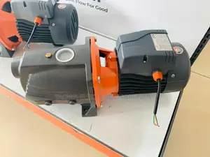 Self Priming 3hp Leo Jet Pump