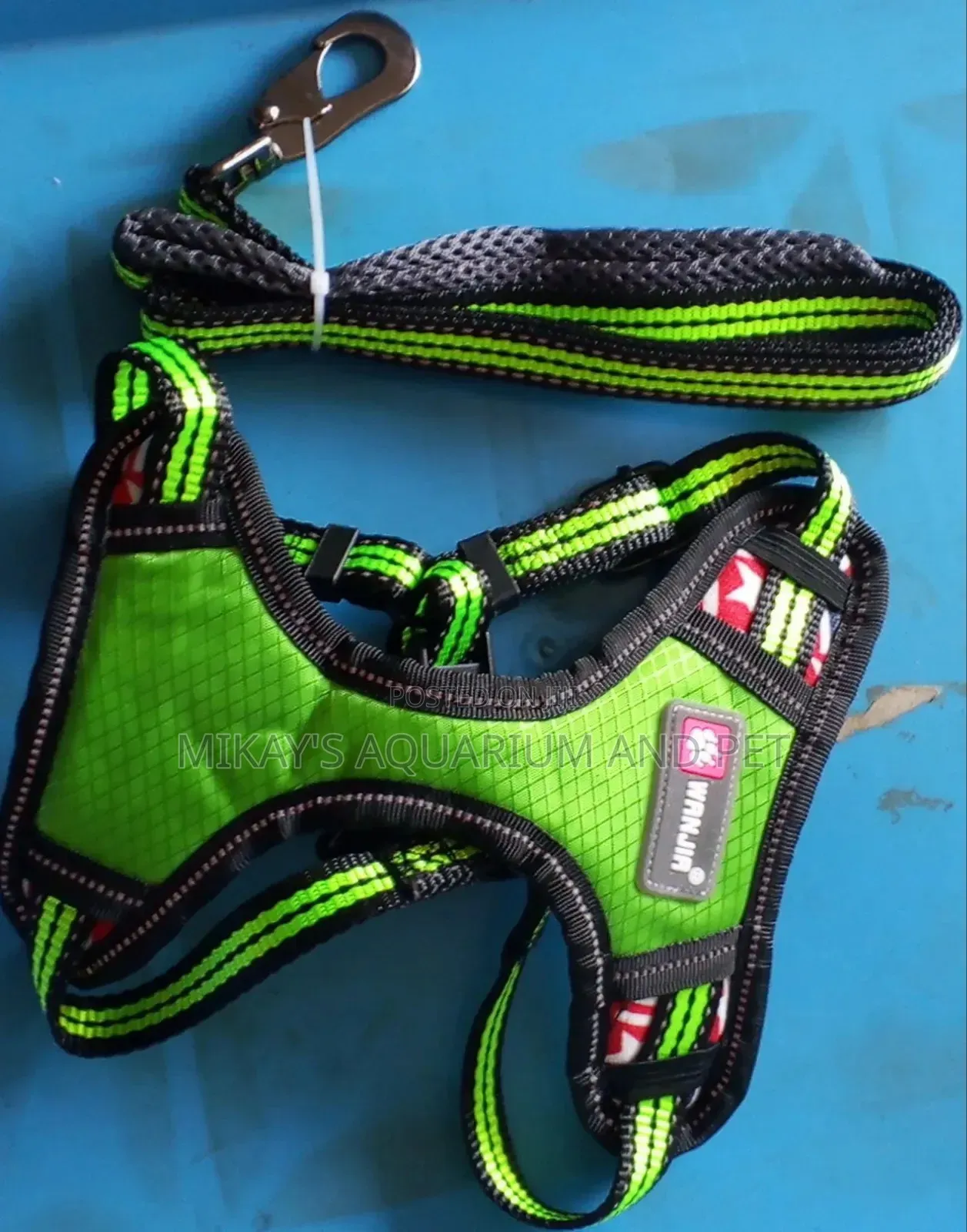 Leash With Harness for Dog