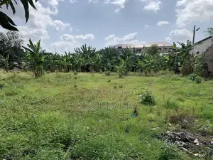Commercial Land for Sale in Adum