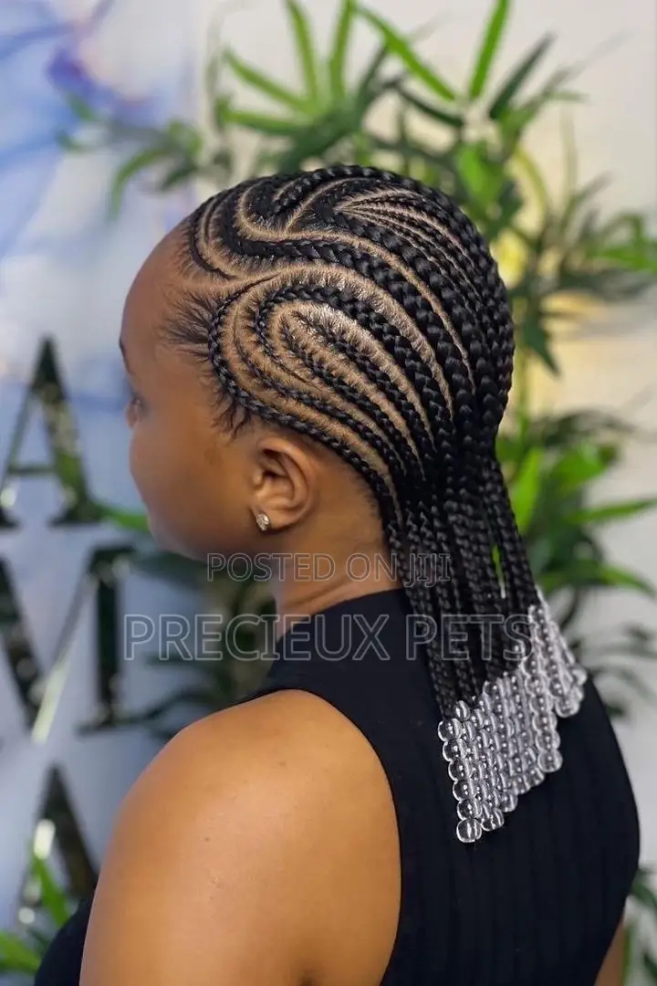 Braids Home Service