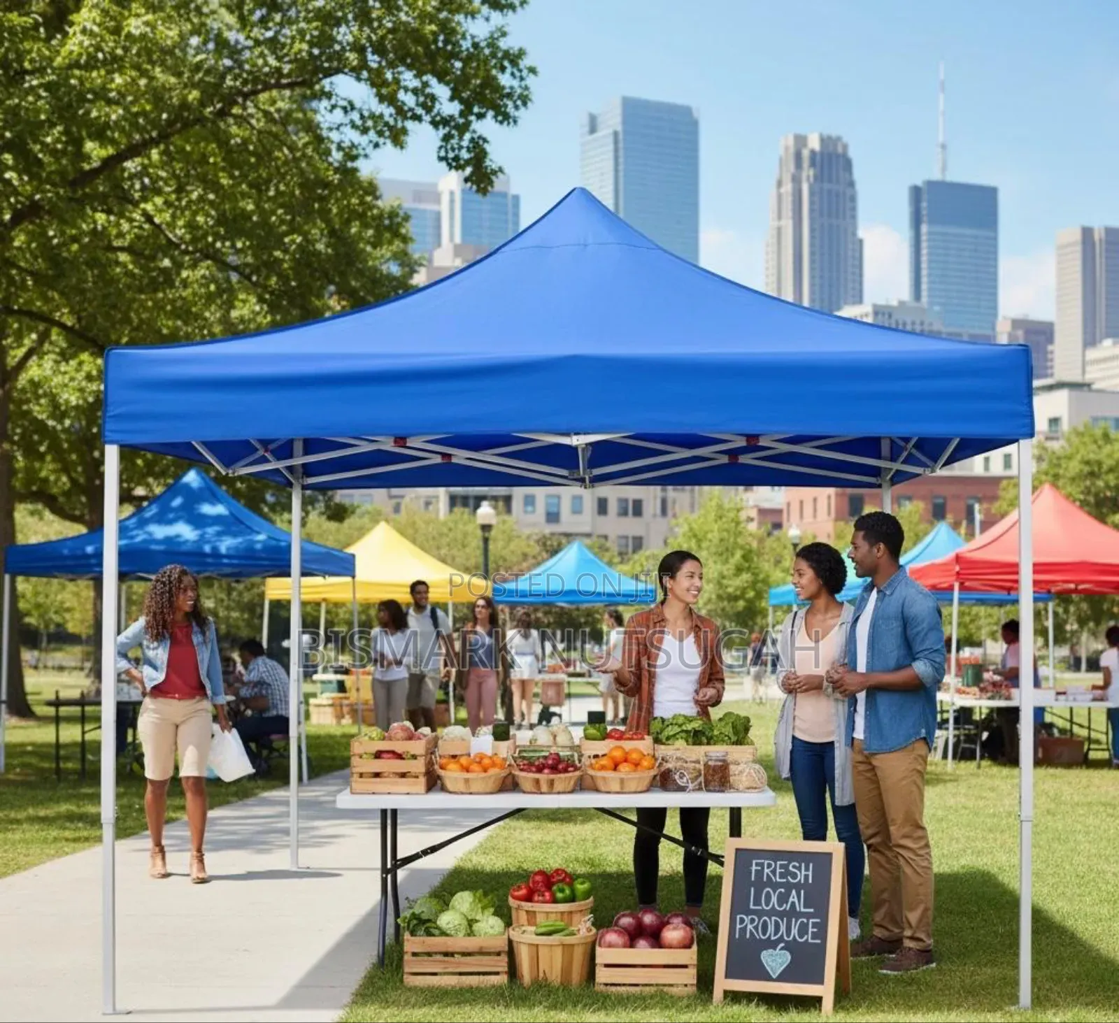 10x10ft Foldable Canopy Tent