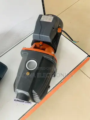 3hp Cast Leo Water Pump