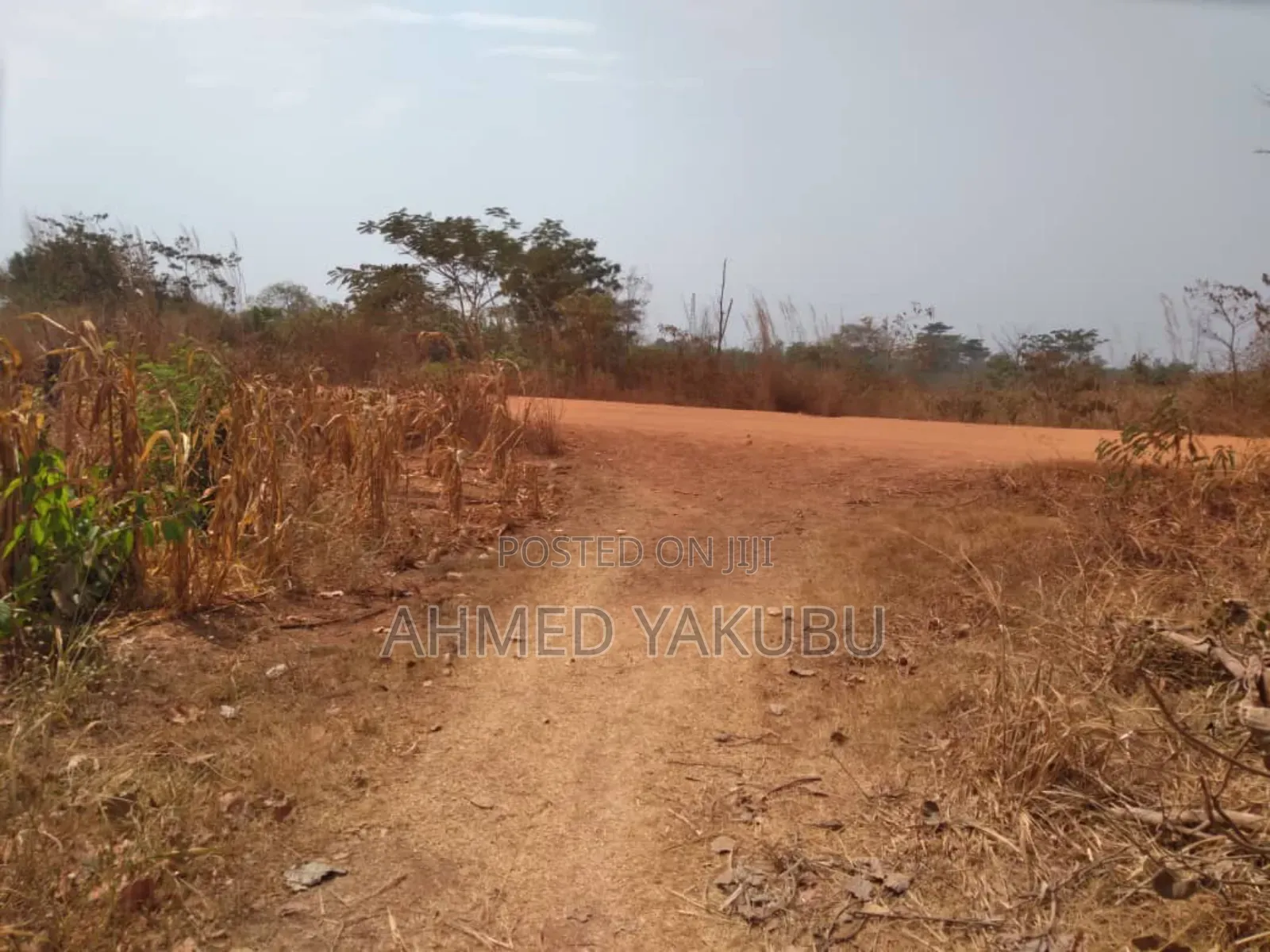 Mango and Cashew Farm Land for Sale