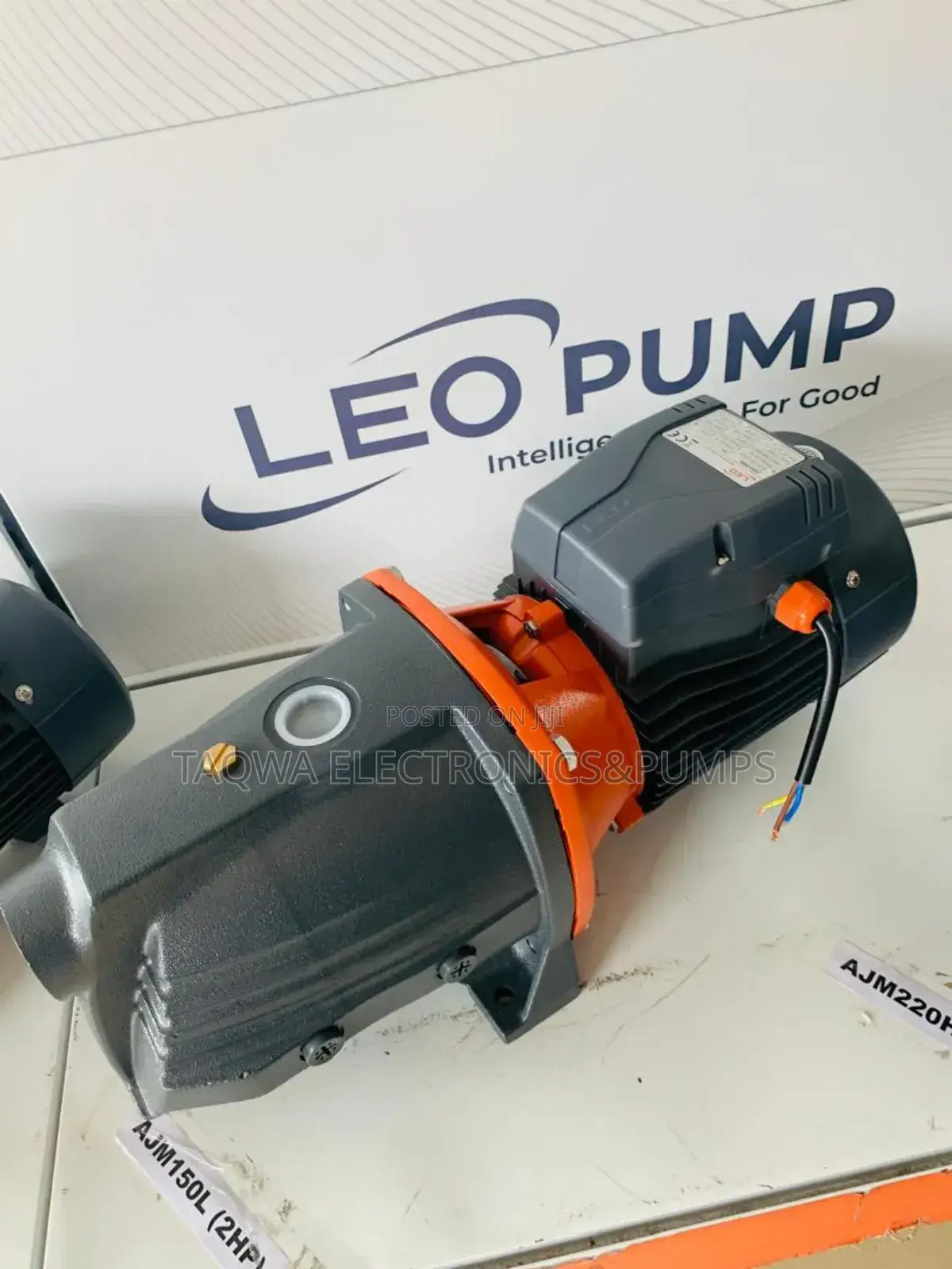 Lasting Cast Pump Leo 2hp
