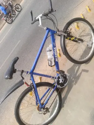26 Blue Mountain Bike