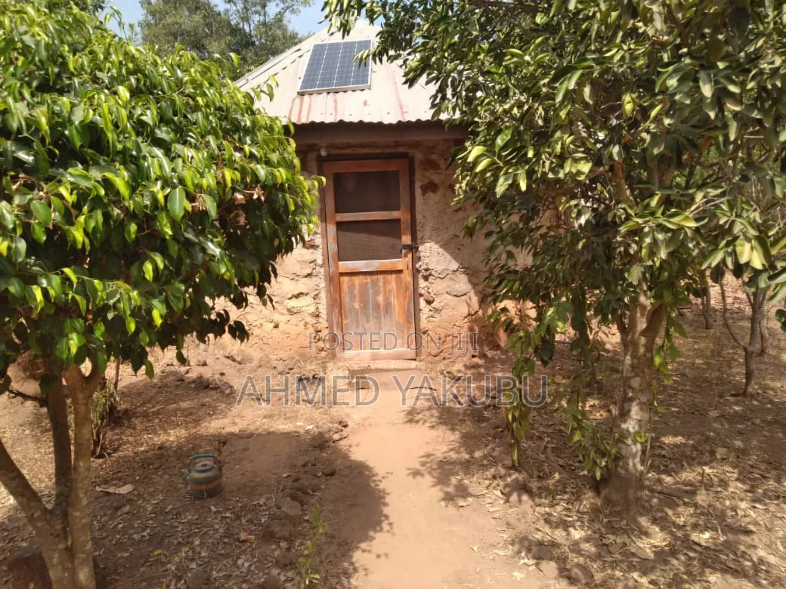 Mango and Cashew Farm Land for Sale