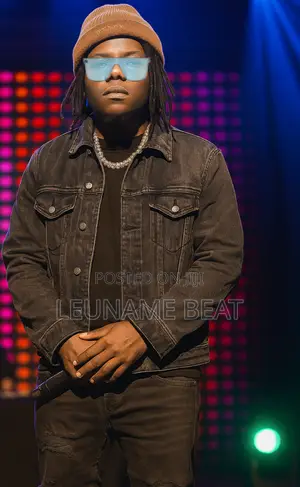 Professional Music Producer