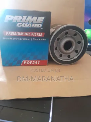 Motorcraft Fl400s for Ford
