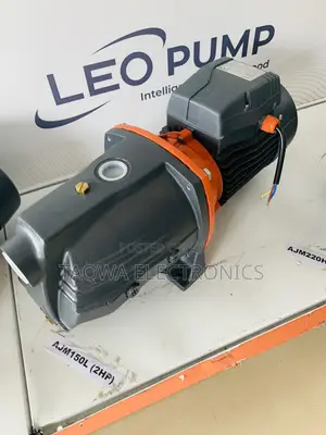 Domestic Leo 2hp Self Priming Pump