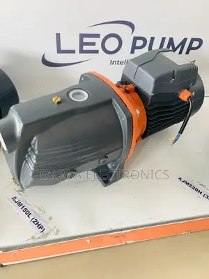 Portable Cast Pump Leo 2hp