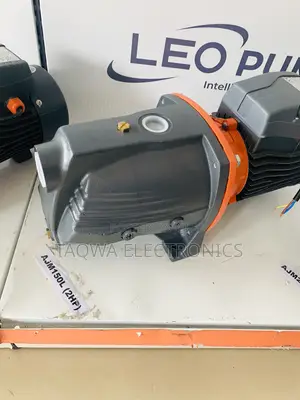 Standard /Leo 2hp Cast Pump .