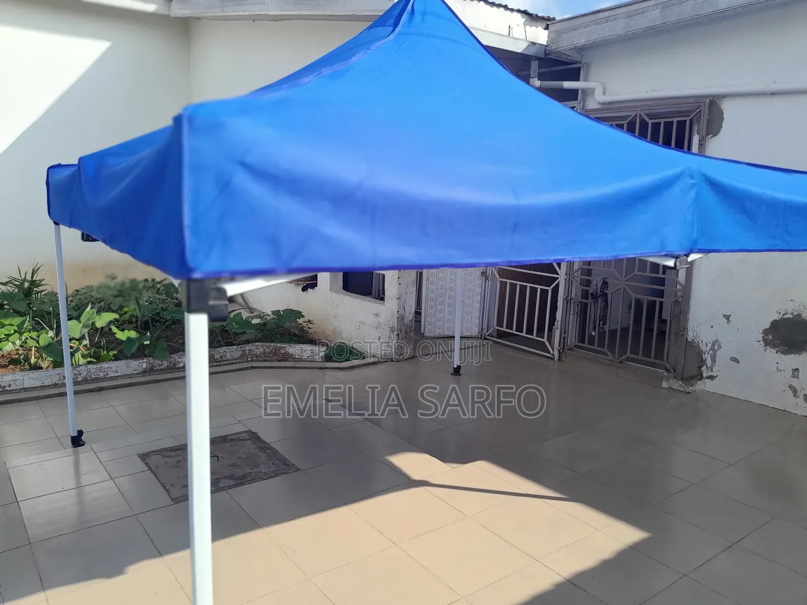 Canopy 10×10 Foreign Type For Rental