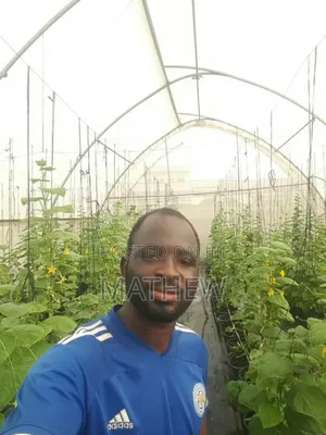 Greenhouse Construction And Installation