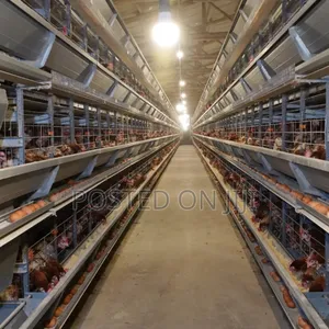 Fully Automated Poultry Structure and Cage