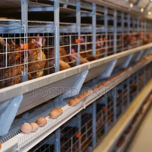 Fully Automated Poultry Structure and Cage
