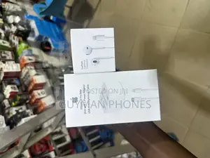 20w iPhone Charger and Earpiece