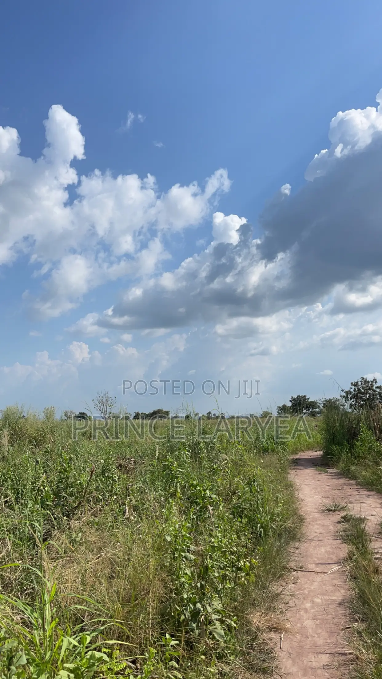 30 Acres Of Farmland For Sale