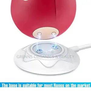 Rose Vibrator Charging Cable