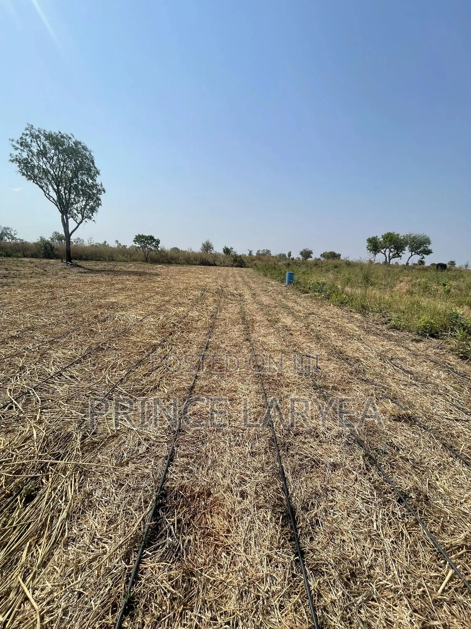 30 Acres Of Farmland For Sale