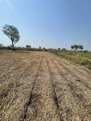 30 Acres Of Farmland For Sale