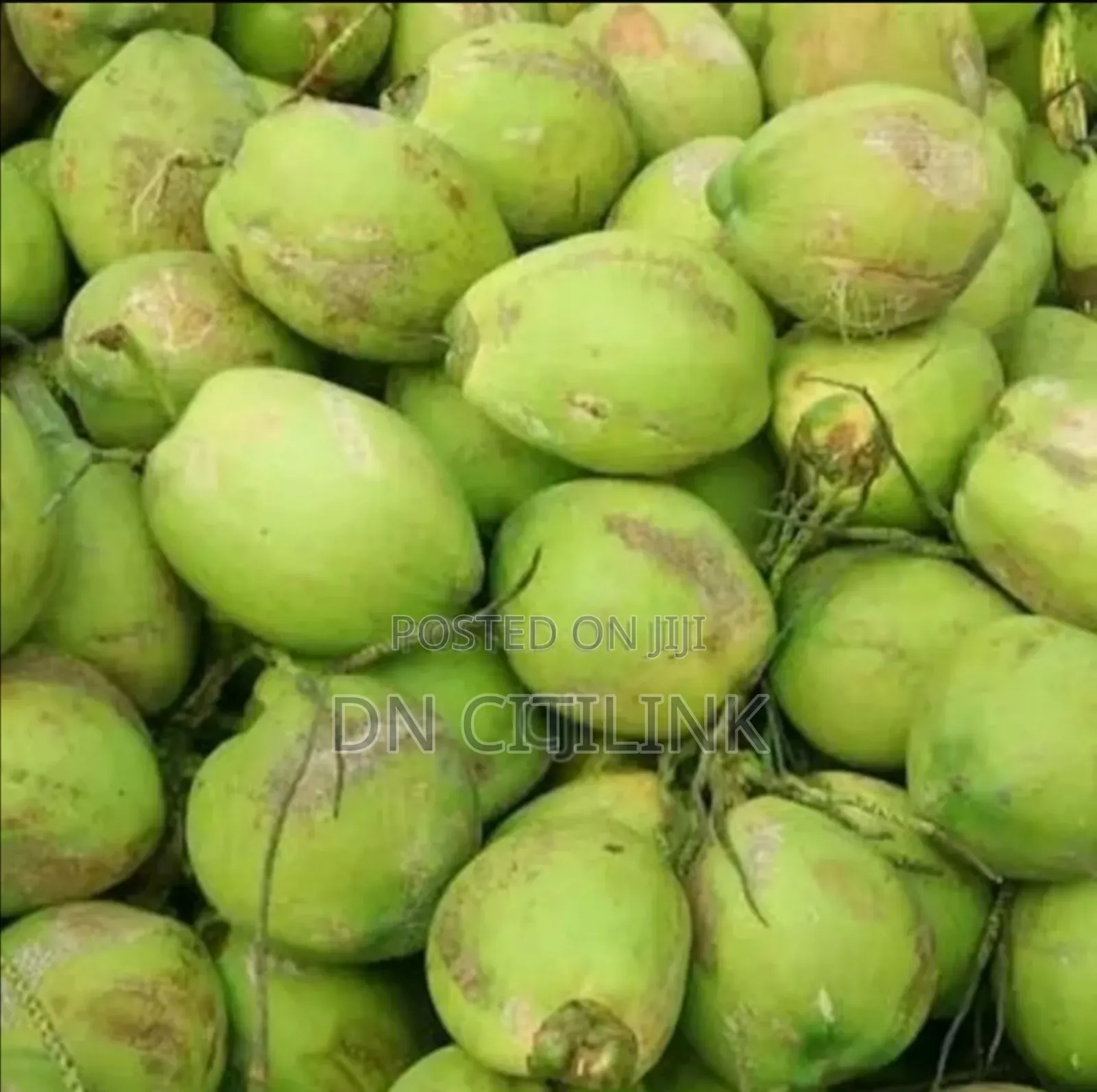 Coconut Retailer and Wholesale