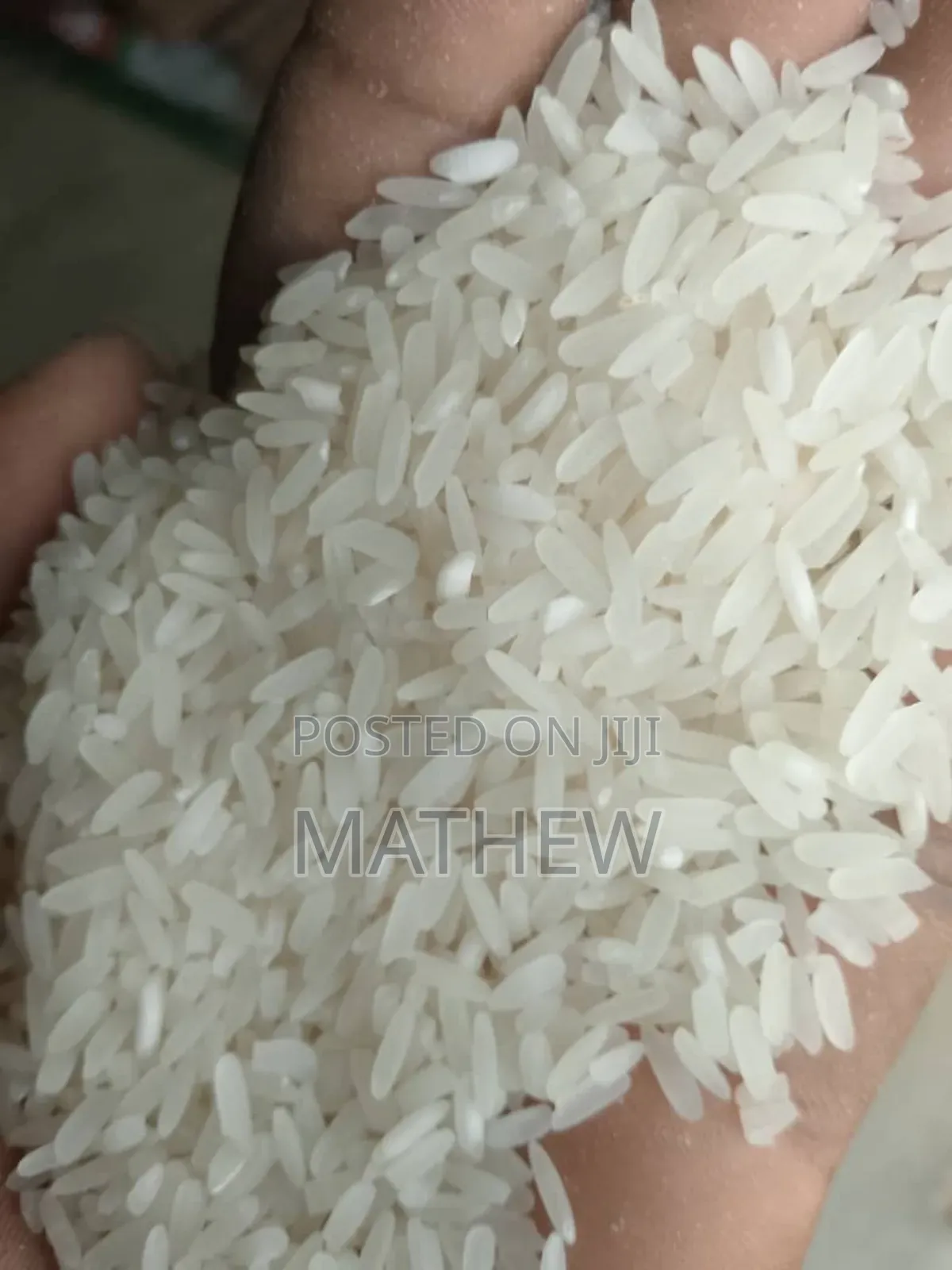 Paddy Rice