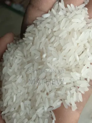 Paddy Rice