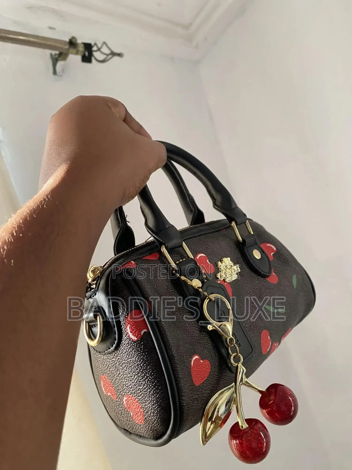 Coach Bags and Tote Bags