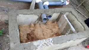 Coconut Fiber