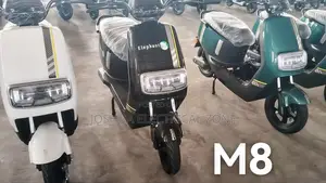 New Motorcycle 2024 Gray