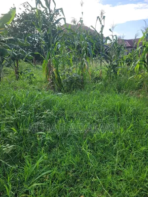 Ten Plots of Land for Sale at Trede Sepease