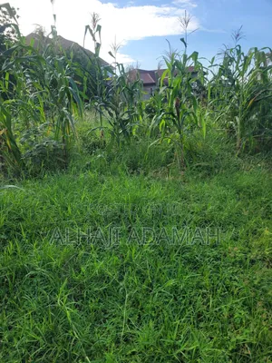 Ten Plots of Land for Sale at Trede Sepease