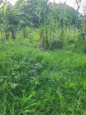 Ten Plots of Land for Sale at Trede Sepease