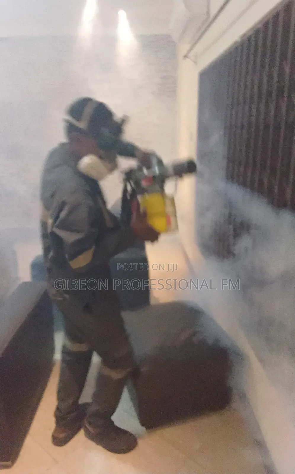 Gas Fumigation! Eliminate All Pests and Take Charge of Your House