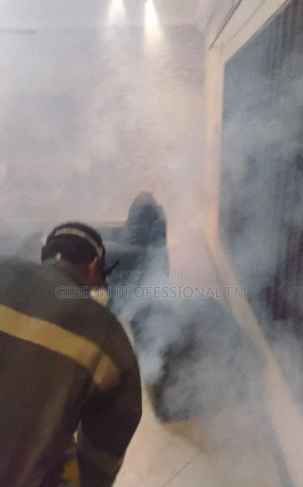 Gas Fumigation! Eliminate All Pests and Take Charge of Your House