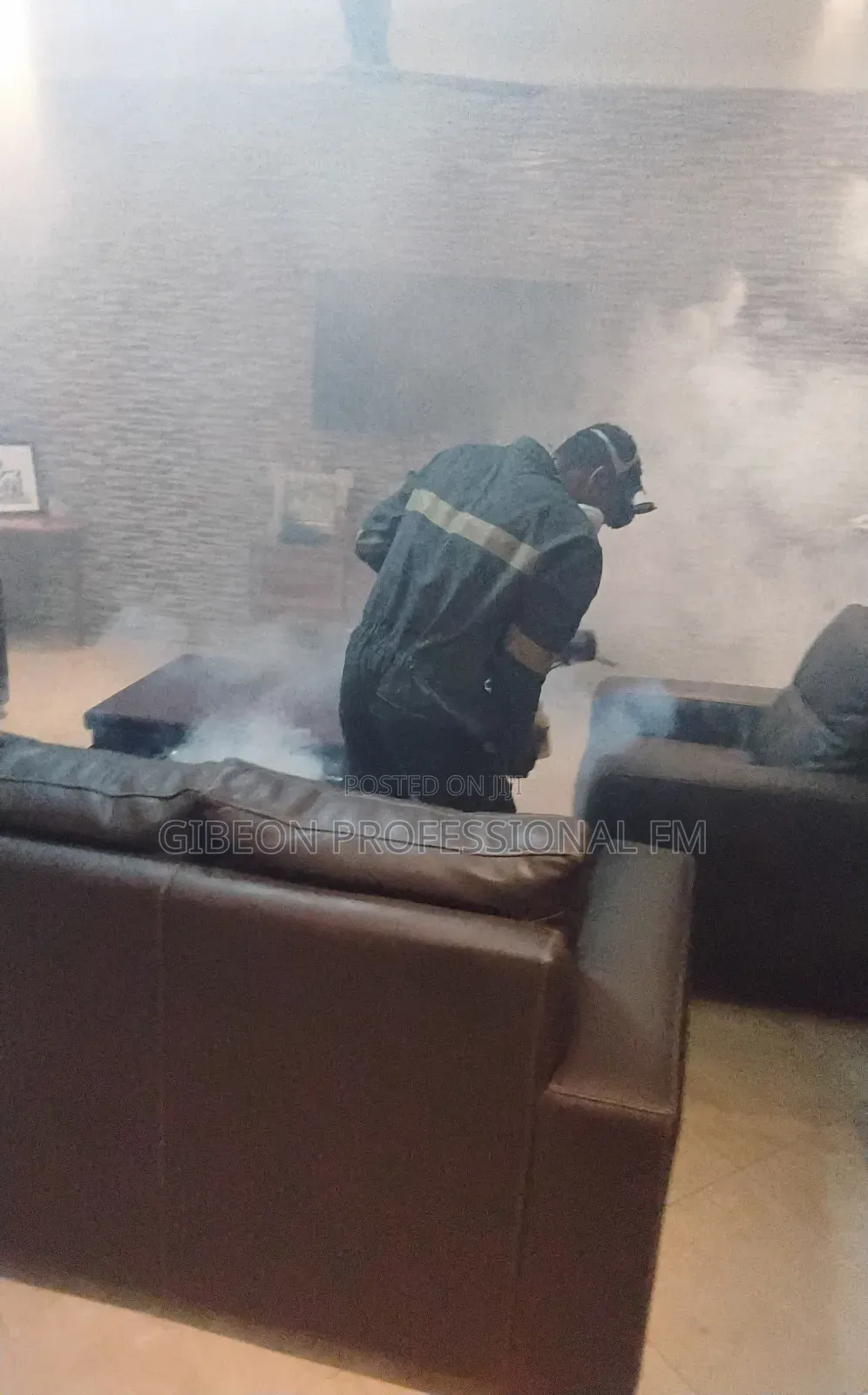 Gas Fumigation! Eliminate All Pests and Take Charge of Your House