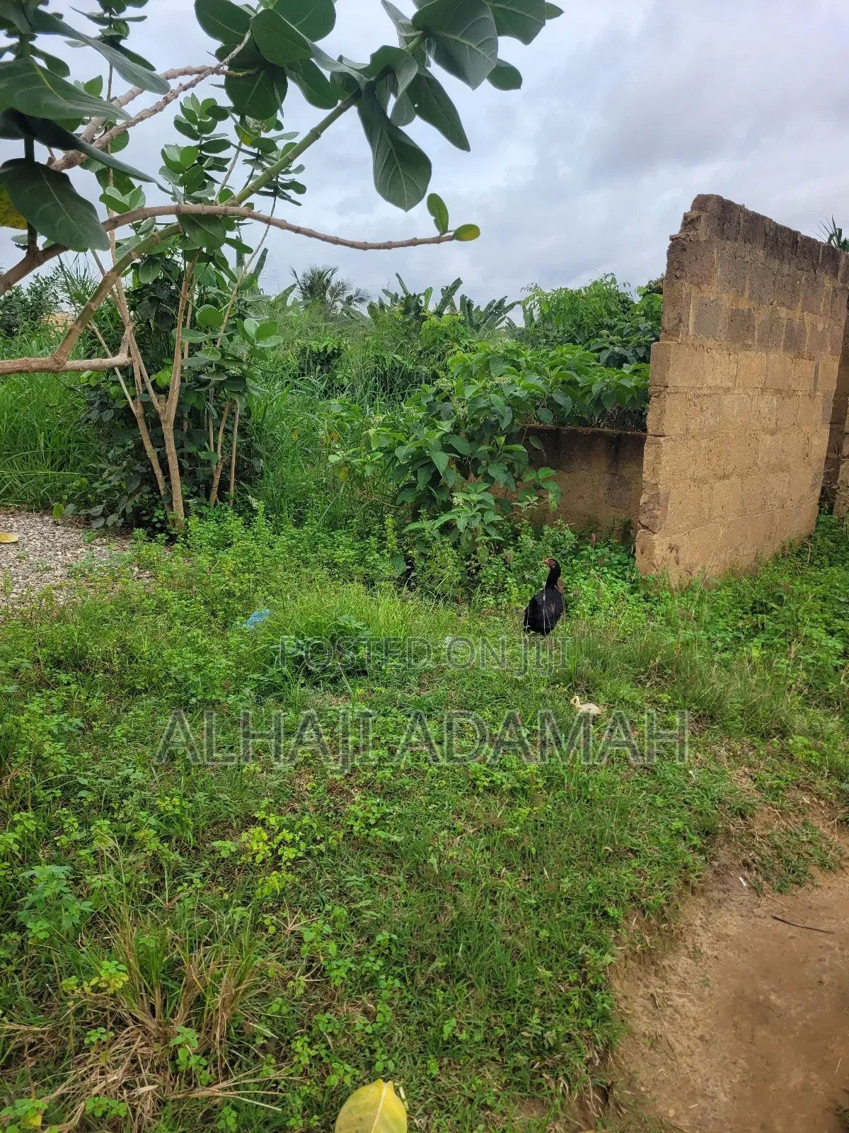 Two Plots of Land at Sorkoban Krofrom Adumasa