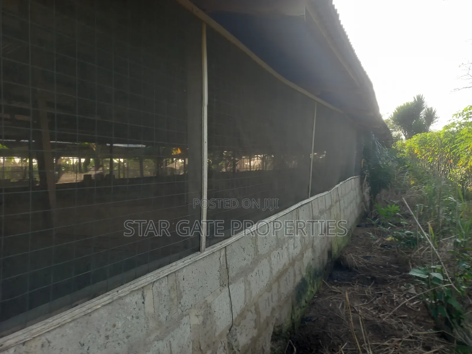 Pig Farm for Sale at Offinso ( on 12 Plots) 2 Half Acres Land