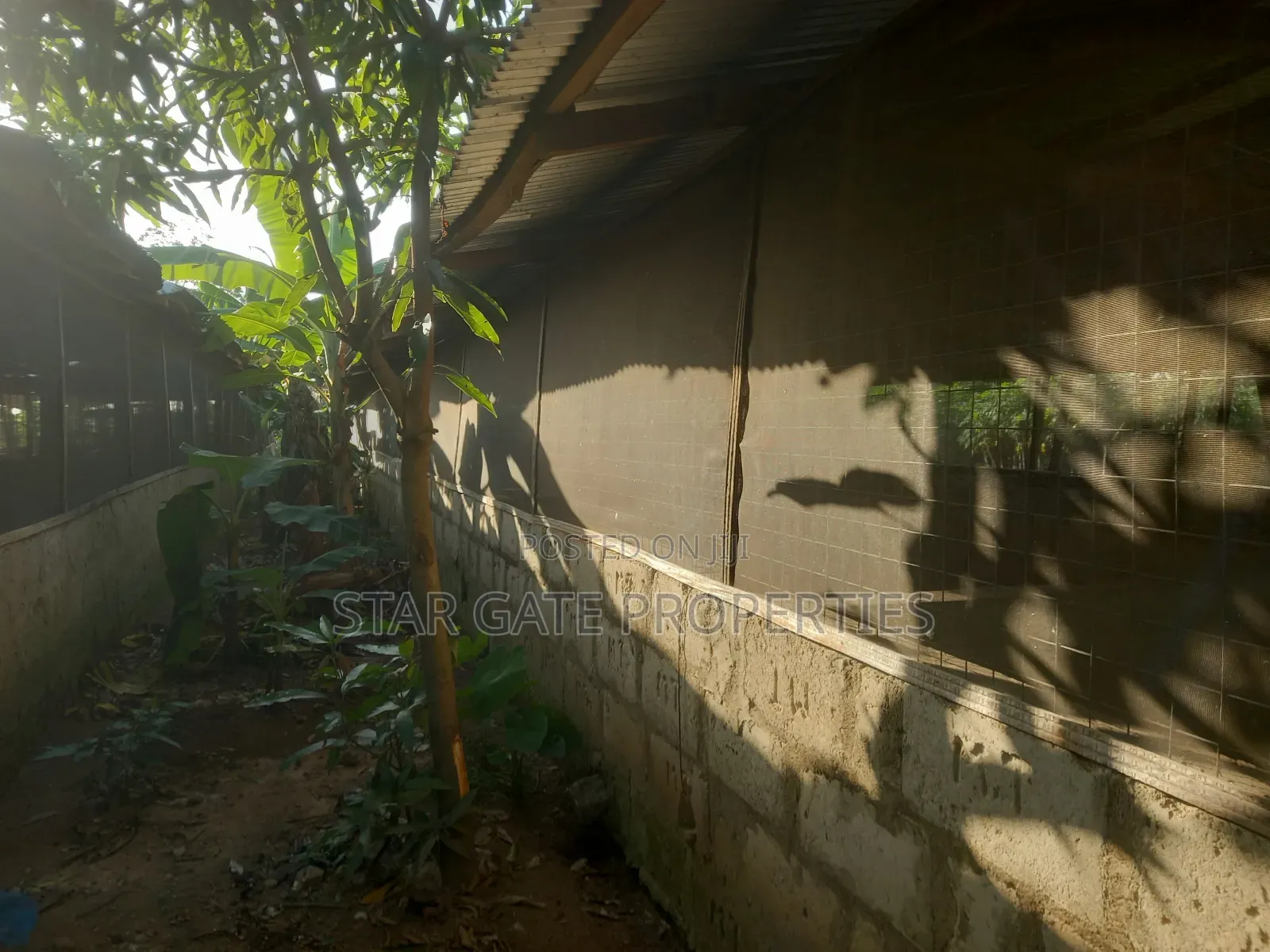 Pig Farm for Sale at Offinso ( on 12 Plots) 2 Half Acres Land