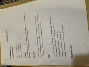 Advertising Marketing CV