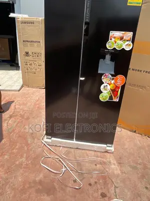 Convenient 583 LTR Water Dispenser Dual Fridge